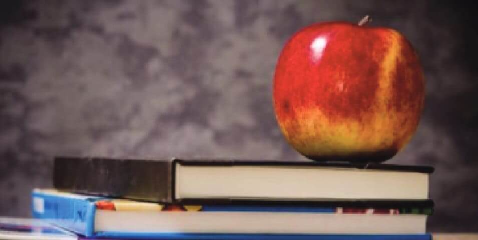 tutoring mississauga