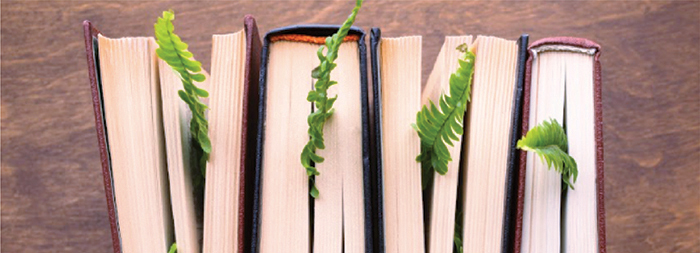 Summer School Orangeville 88