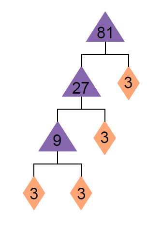diagram-of-81