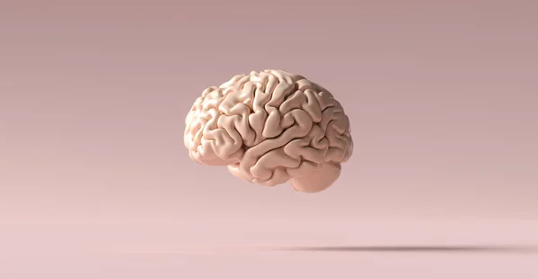 Afferent vs efferent 2